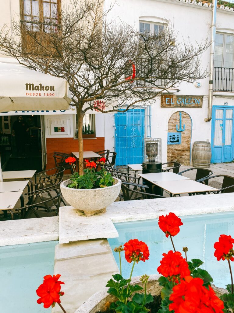 Red geraniums beside a fountain in a square in Estepona old town, with the El Galeón restaurant and blue-painted doors behind